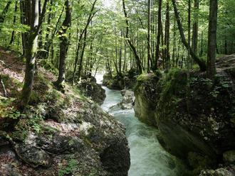 Mosnica River